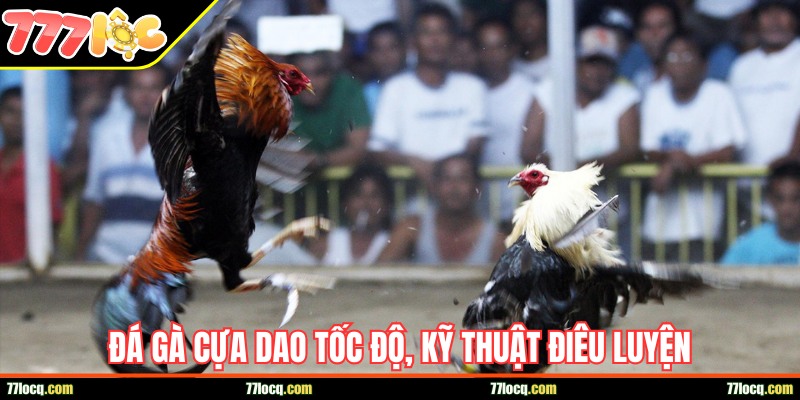 Đá cựa dao tốc độ, kỹ thuật ra đòn điêu luyện