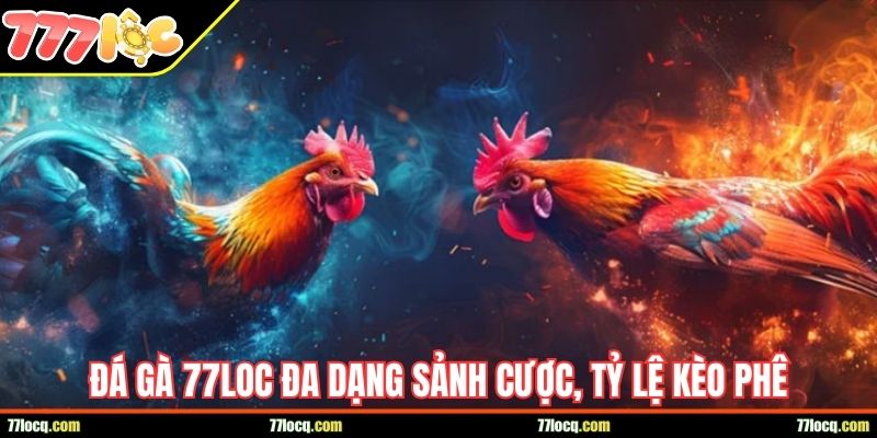 Đá gà 77LOC đa dạng sảnh cược, tỷ lệ kèo phê