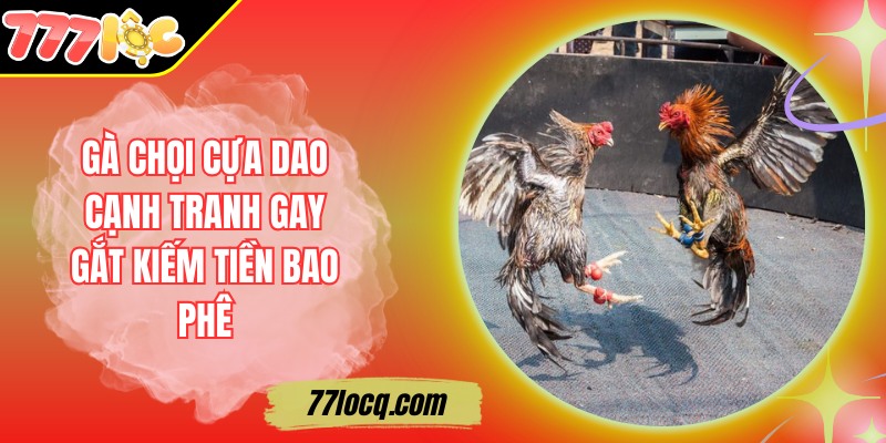 Gà Chọi Cựa Dao Cạnh Tranh Gay Gắt Kiếm Tiền Bao Phê