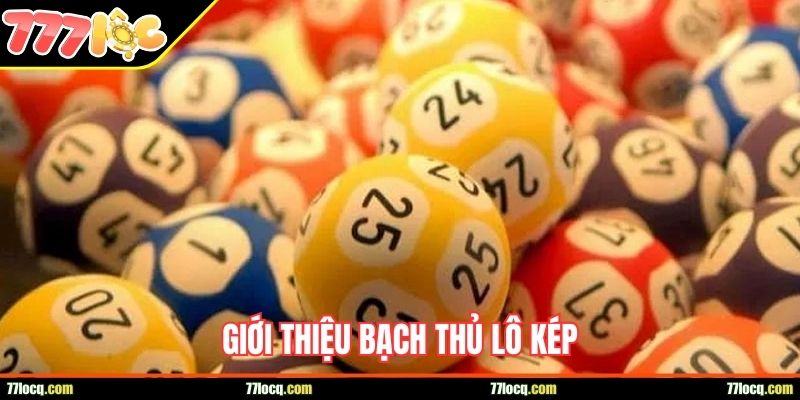 Giới thiệu bạch thủ lô kép Giới thiệu bạch thủ lô kép