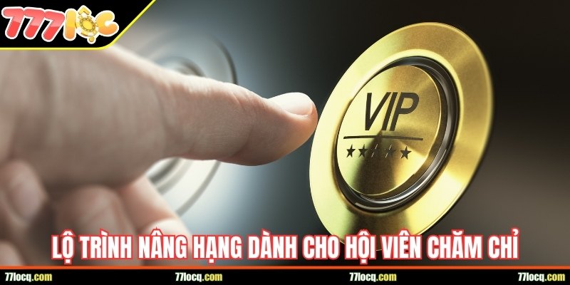 Lộ trình nâng hạng dành cho hội viên chăm chỉ Lộ trình nâng hạng dành cho hội viên chăm chỉ