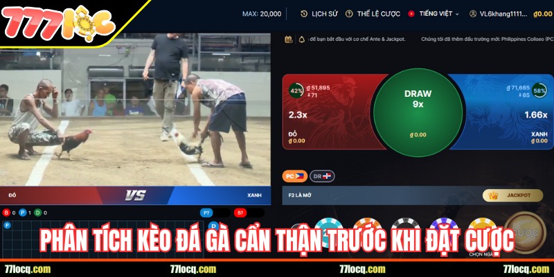 Phân tích kèo đá gà cẩn thận trước khi vào tiền