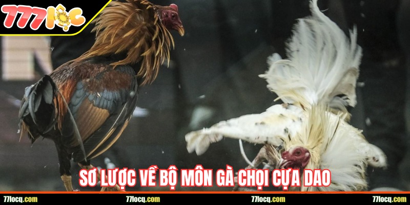 Sơ lược về bộ môn gà chọi cựa dao
